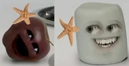 Mmstarfish