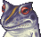 FF2PSP Leon Frog