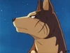 Riki 6-1-