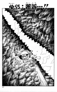 Chapter 95