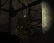Heart of the Oasis side2 dark