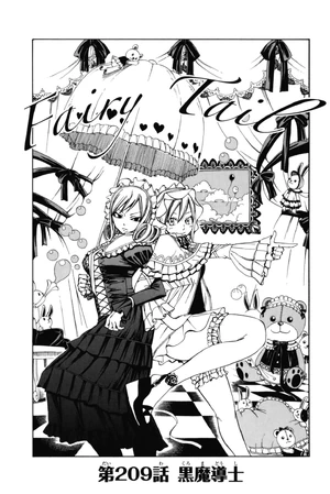 Cover 209