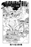 Cover 212