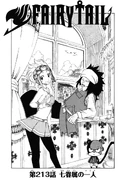 Cover 213