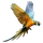 Item macaw 01