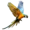 Item macaw 01