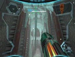 Warp Site Bravo real