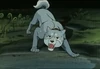 Gin107