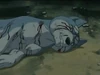 Gin17