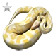 Item albinopython silver 01