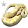Item albinopython silver 01
