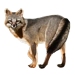 Item brazilianfox 01