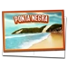 Standard 75x75 collect beaches pontanegra 01