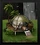 Hq5 small