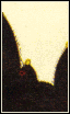 Category:Hanafuda (3 KB) Category:Hanafuda