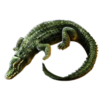 Huge item blackcaiman 01.png