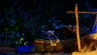 Emzfolge11-8