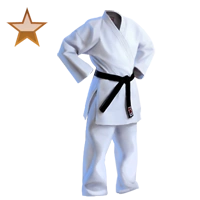 Huge item jiujitsumaster bronze 01.png