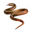 Item aesculapiansnake 01