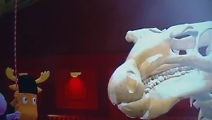 A DINOSAUR SKELETON