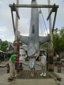 DSC02882.jpg