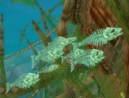 SkeletalFish