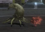 Infection Form