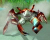 SabreclawSkitterer