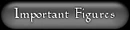 Importantfigbutton