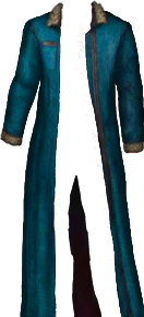 Winter Coat