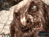 Pseudogiant.face