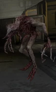 Stalker DS2