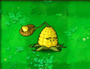 Kernel-pult