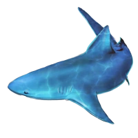Huge item bullshark 01.png
