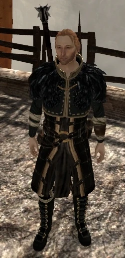 Renegade's Coat.jpg
