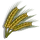 Barley-icon