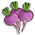 Turnip-icon