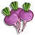 Turnip-icon
