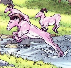 Hoaarr.jpg