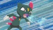 Sneasel anime