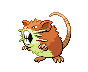Raticate NB variocolor hembra
