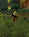HiredLooter