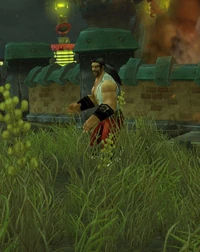 HiredLooter