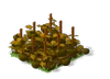 Tomato Withered