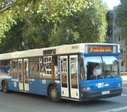 MAZ.Iasi-Romania