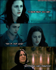 Funny-twilight-and-harry-potter-pictures-harry-potter-vs-twilight-14685877-400-498-1-
