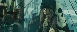 Capitaine Chevalle