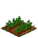 Red Currant 33
