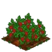 Red Currant 100