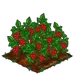 Red Currant extra100
